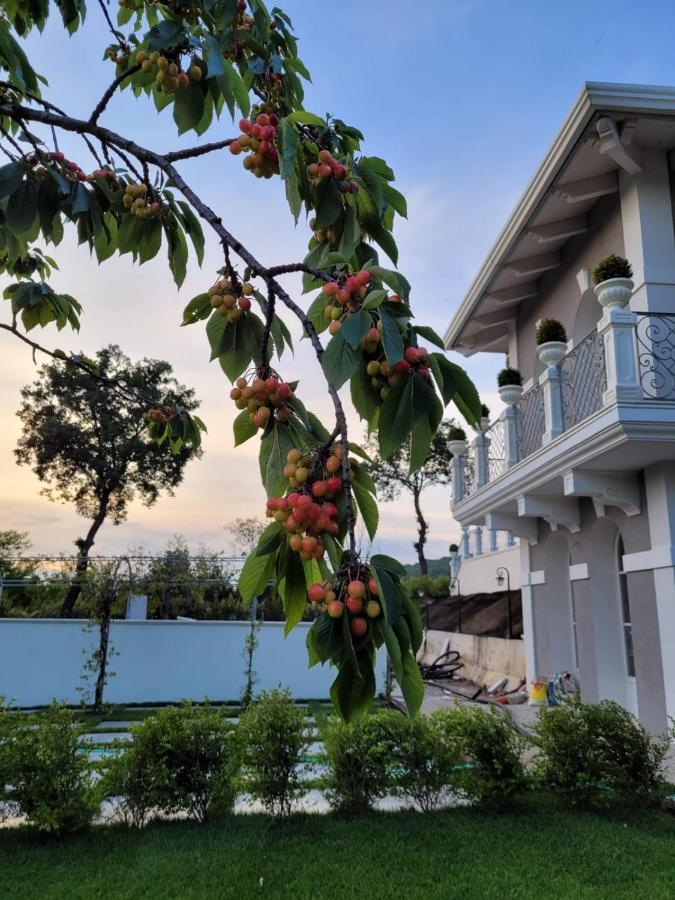 Tenuta Santo Stefano Azienda Agrituristica Santo Stefano del Sole Dış mekan fotoğraf