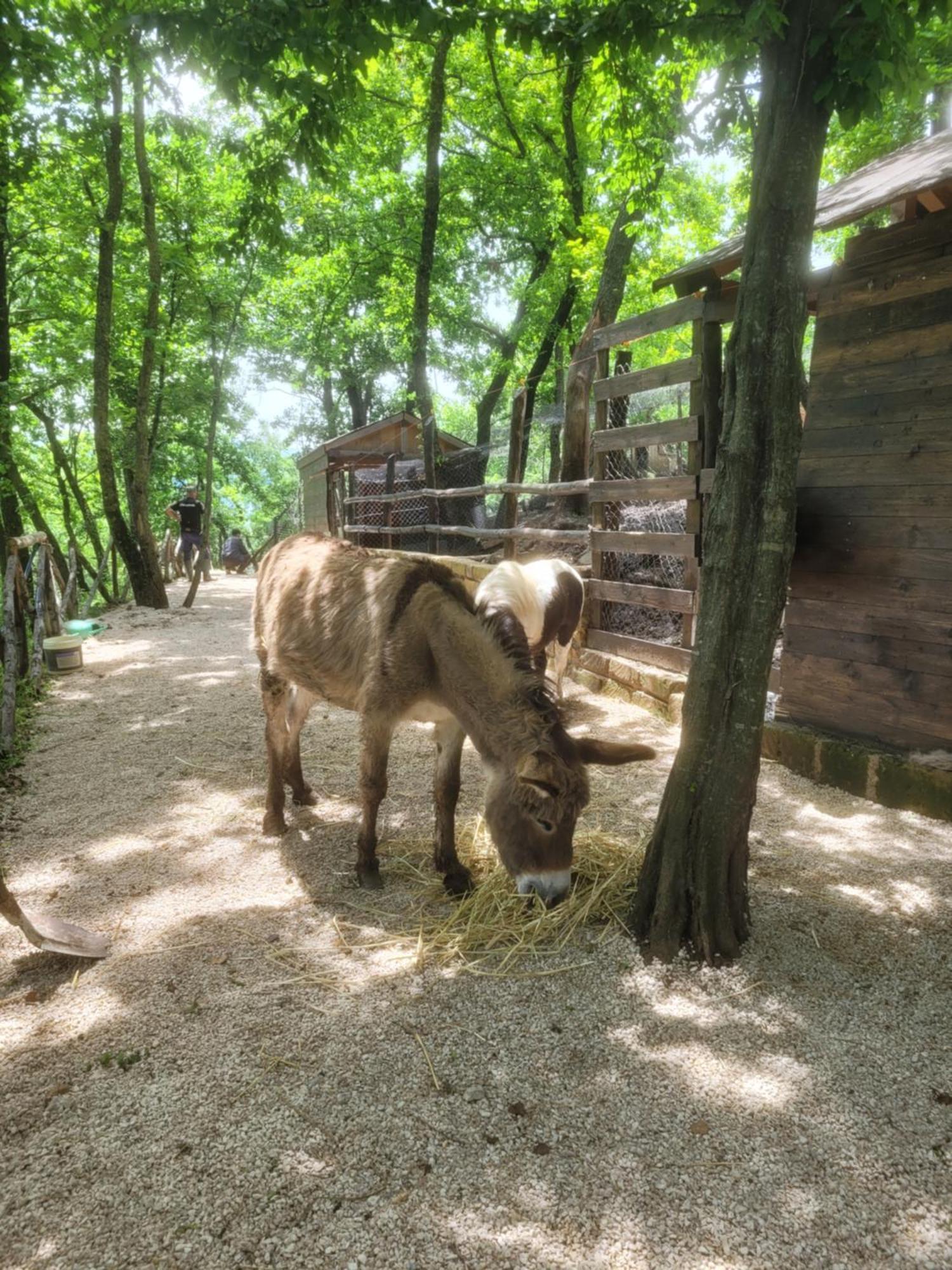 Tenuta Santo Stefano Azienda Agrituristica Santo Stefano del Sole Dış mekan fotoğraf